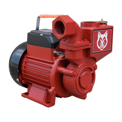 BOMBA ELÉCTRICA SWEDISH HUSKY POWER 750W AUTOCEBANTE - HKW100 | Raiker